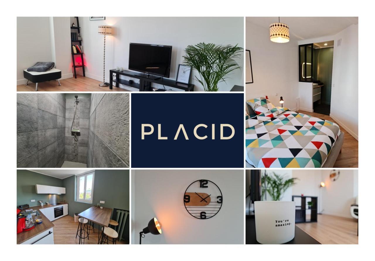 Le Scottmanhouse - Appartement Prive - Centre Ville - Gare - Wi-Fi Arras Eksteriør billede